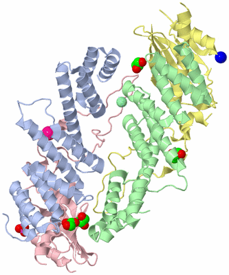 Image Biological Unit 3