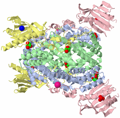 Image Biological Unit 4