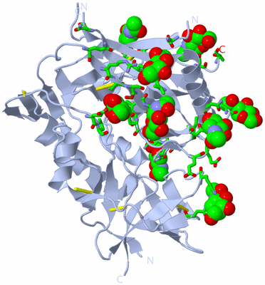 Image Biol. Unit 1 - sites