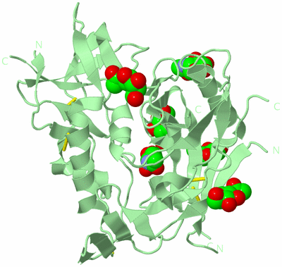 Image Biological Unit 2