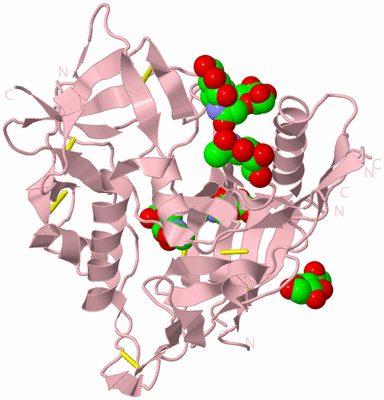 Image Biological Unit 3