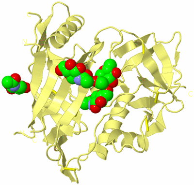 Image Biological Unit 4