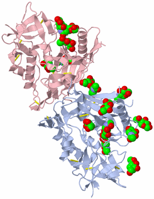 Image Biological Unit 5