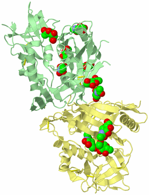 Image Biological Unit 6