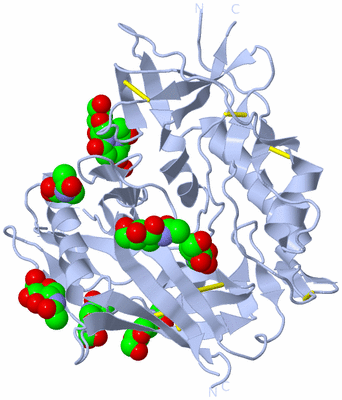 Image Biological Unit 1