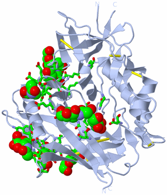 Image Biol. Unit 1 - sites