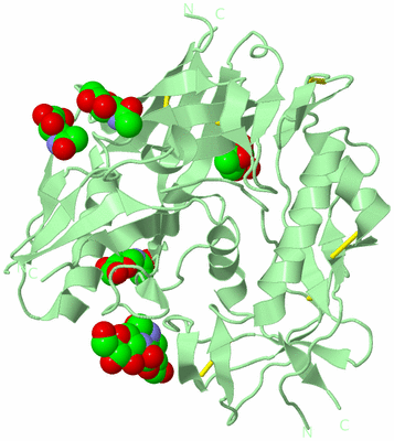 Image Biological Unit 2