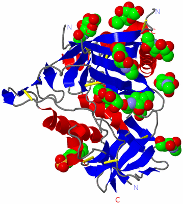 Image Asym./Biol. Unit