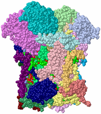 Image Asym./Biol. Unit - sites