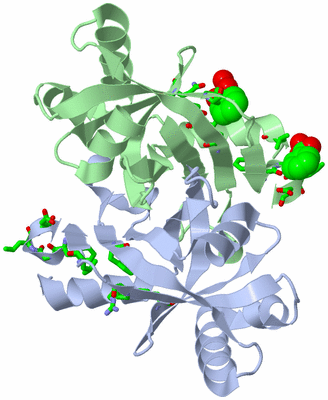 Image Biol. Unit 1 - sites