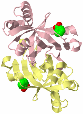 Image Biological Unit 2