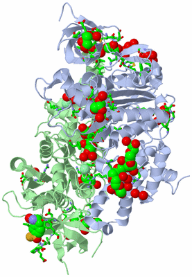 Image Asym./Biol. Unit - sites