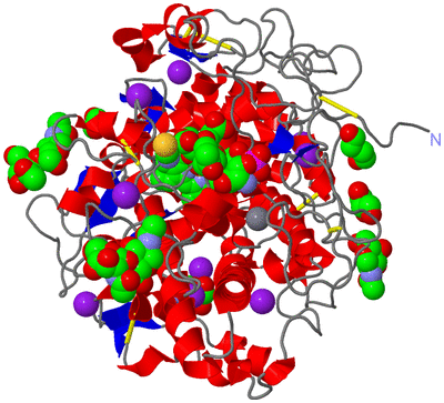 Image Asym./Biol. Unit