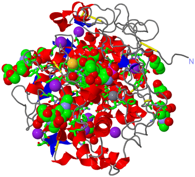 Image Asym./Biol. Unit - sites