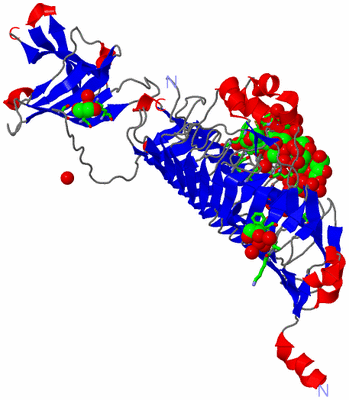 Image Asym. Unit - sites