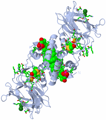 Image Biol. Unit 1 - sites