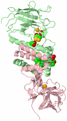 Image Biological Unit 2