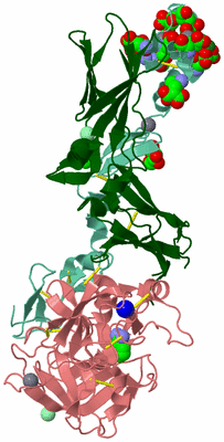 Image Asym./Biol. Unit