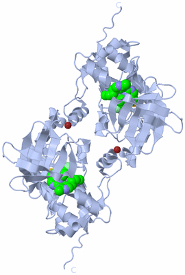 Image Biological Unit 2