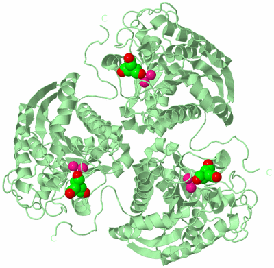 Image Biological Unit 2