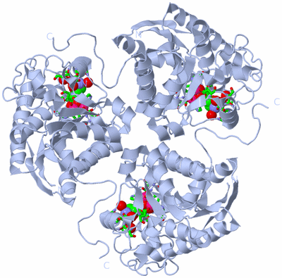 Image Biol. Unit 1 - sites