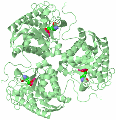 Image Biological Unit 2