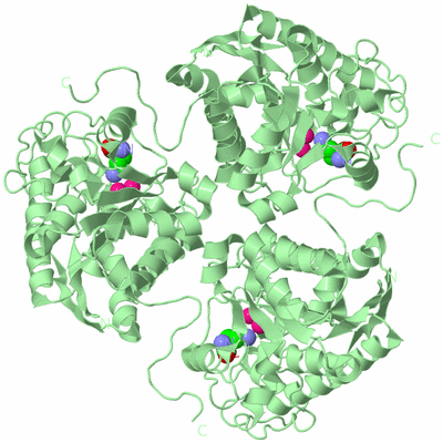 Image Biological Unit 2