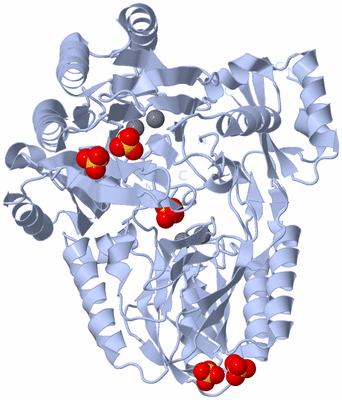 Image Biological Unit 1