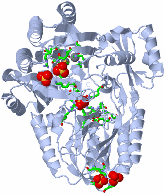 Image Biol. Unit 1 - sites