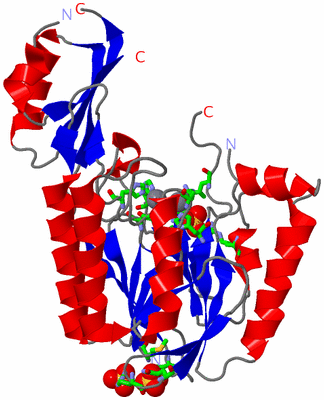 Image Asym. Unit - sites