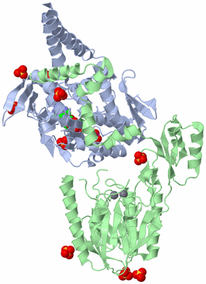 Image Biological Unit 1