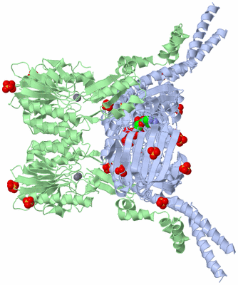 Image Biological Unit 2