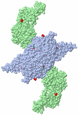 Image Biological Unit 3