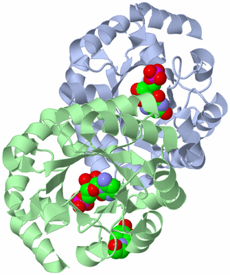 Image Asym./Biol. Unit