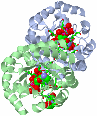 Image Asym./Biol. Unit - sites