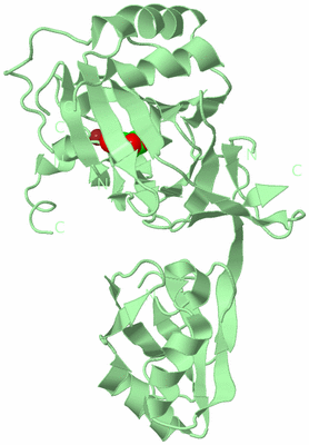 Image Biological Unit 2