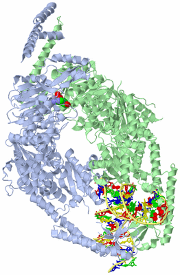 Image Asym./Biol. Unit