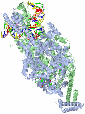 Image Asym./Biol. Unit - sites