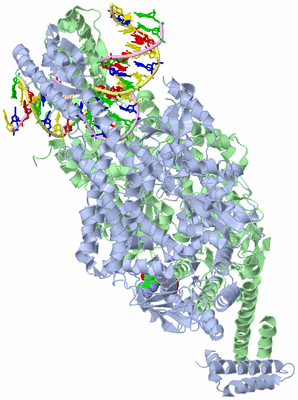 Image Asym./Biol. Unit