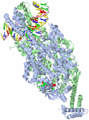 Image Asym./Biol. Unit - sites