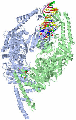 Image Asym./Biol. Unit - sites