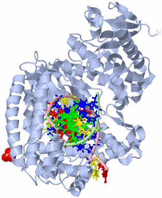 Image Biological Unit 1