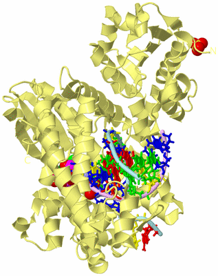 Image Biological Unit 2