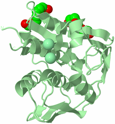 Image Biological Unit 2