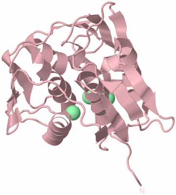 Image Biological Unit 3