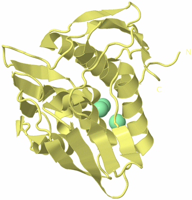 Image Biological Unit 4