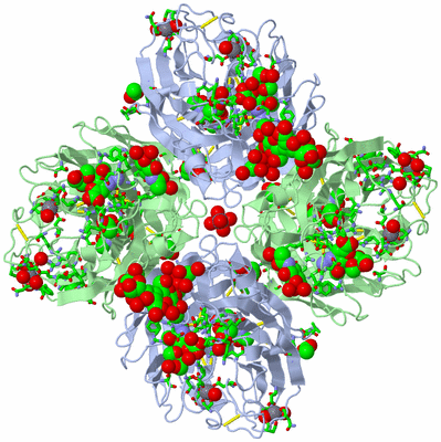 Image Biol. Unit 1 - sites