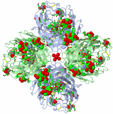 Image Biol. Unit 1 - sites