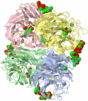 Image Asym./Biol. Unit