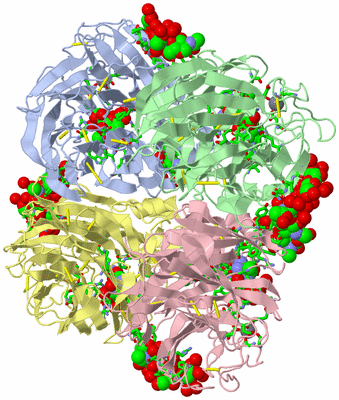 Image Asym./Biol. Unit - sites